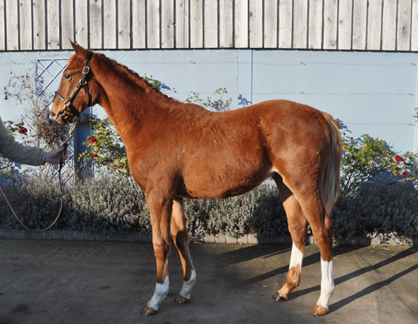 lot 490
